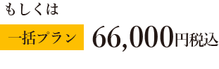 もしくは[一括プラン]66,000円税込